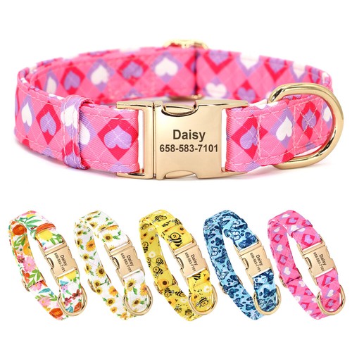 Fancy customised dog - fancy,