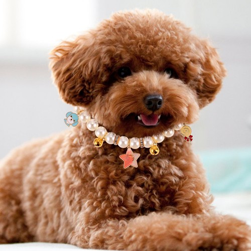 Adjustable cat collar with - adjustable,