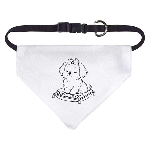 Fancy shih tzu dog - shih,