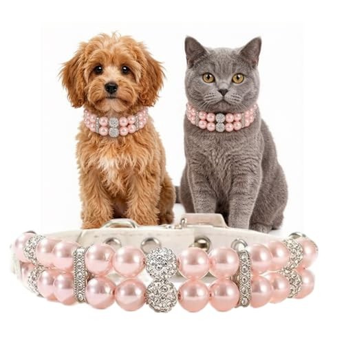 White pearl dog - white,