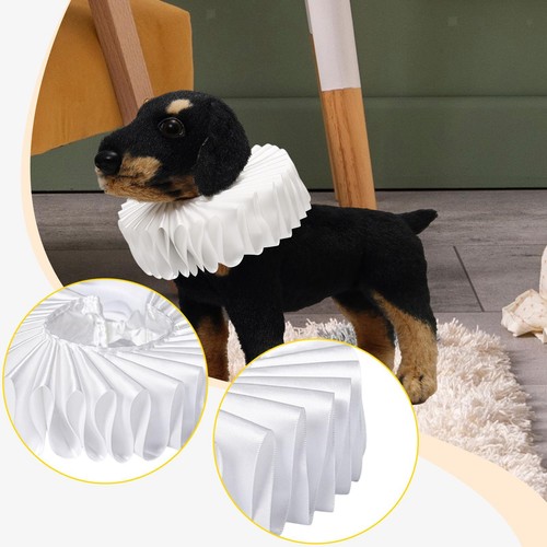 Cat dog ruffle neck ruff - dog,