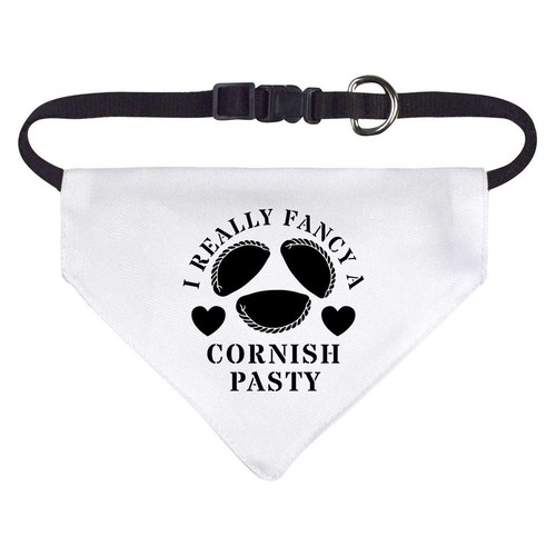 Fancy cornish pasty - 'fancy, pasty'