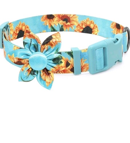 Fancy floral boy - fancy,
