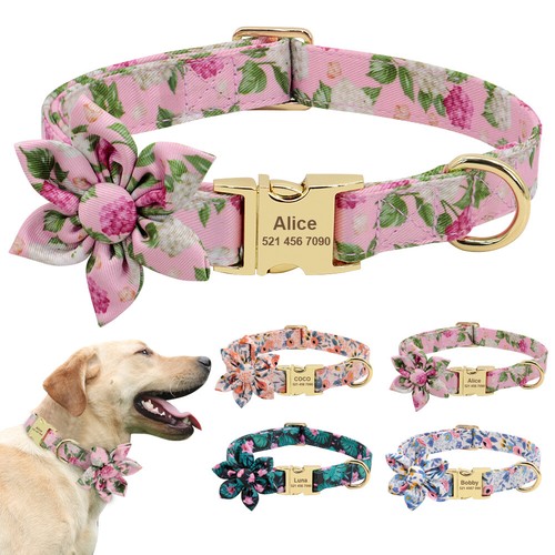 Fancy personalised dog collar - fancy,