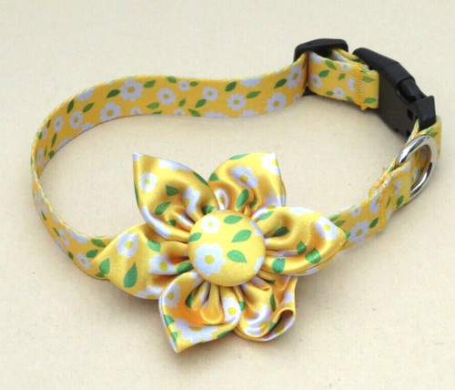 Fancy flower collar - fancy,
