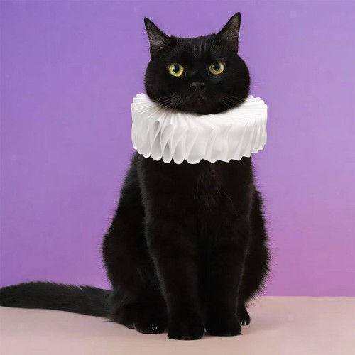 Cat dog collar - cat,