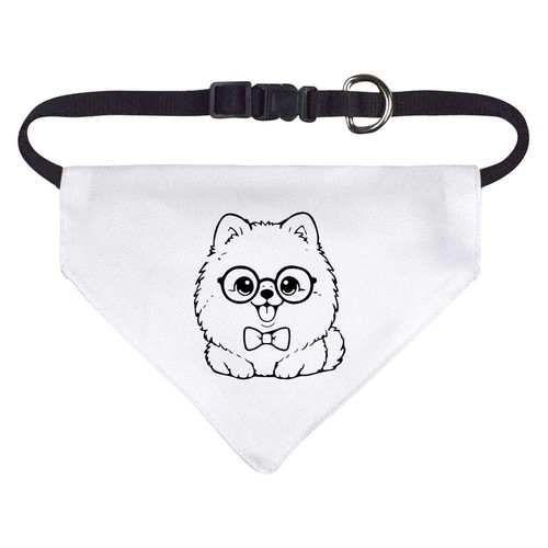 Fancy pomeranian dog - dog, /