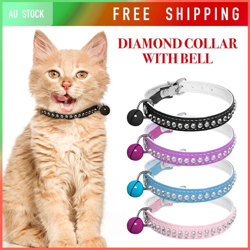 Cat adjustable kitten - adjustable, buckle